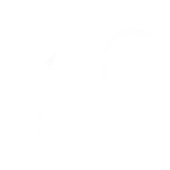Outline of a family